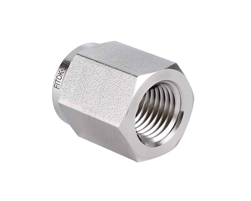 316 SS Pipe Fitting, Pipe Cap, 3/8" Female BSPT (RT) 