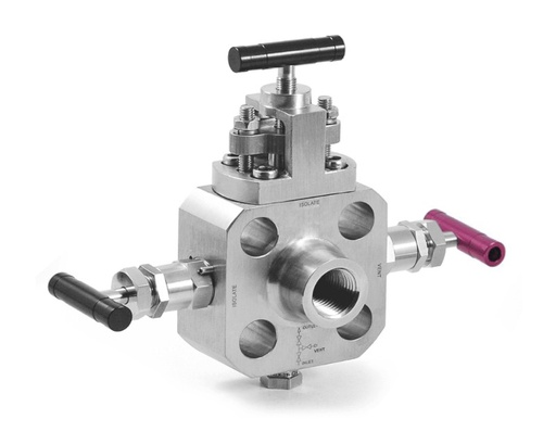 [BBSS-NN-FNS8-] Single Block and Bleed Valves, Body: 316SS, MWP: 10000psig, Packing: PTFE, Inlet:1/2in. (M)NPT, Outlet: 1/2in. (F)NPT, One Vent 1/4in. (F)NPT With  Plug, Al T-bar Handles, Config: Block-Needle, Bleed-Needle, Valves Horizontally Mounted